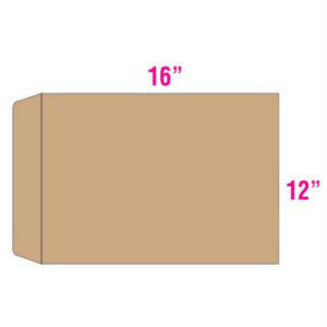 Giant Envelope 12″ x 16″ ( Thick )