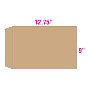 Giant Envelope 9″ x 12.75″ ( Thick )