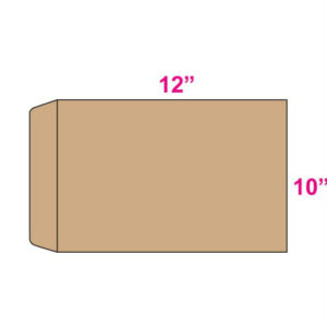 Giant Envelope 10″ x 12″ ( Thick )