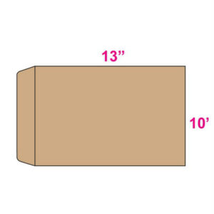 Giant Envelope 10″ x 13″ ( Thick )