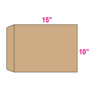 Giant Envelope 10″ x 15″ ( Thick )