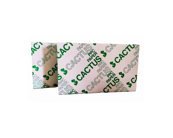 Cactus Bond Paper | 8.5 x 14 inches, 500 sheets per Ream - Image 4