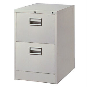 LION Steel Filing Carbinet LX 42 PS ( 2 Drawer )