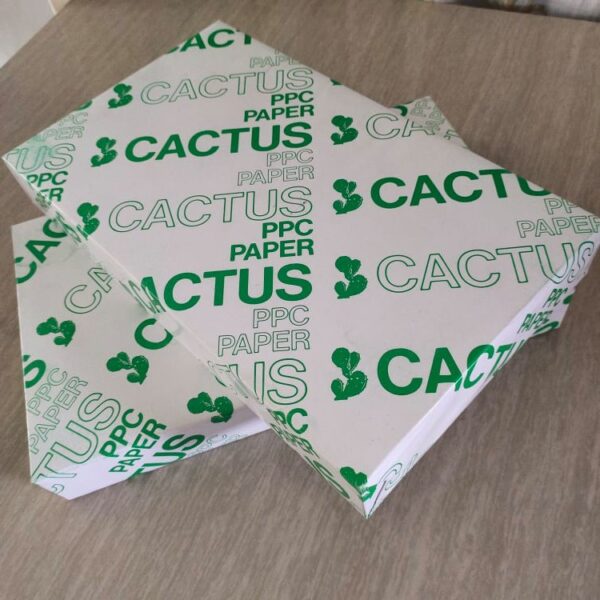 Cactus Bond Paper | 8.5 x 14 inches, 500 sheets per Ream - Image 2