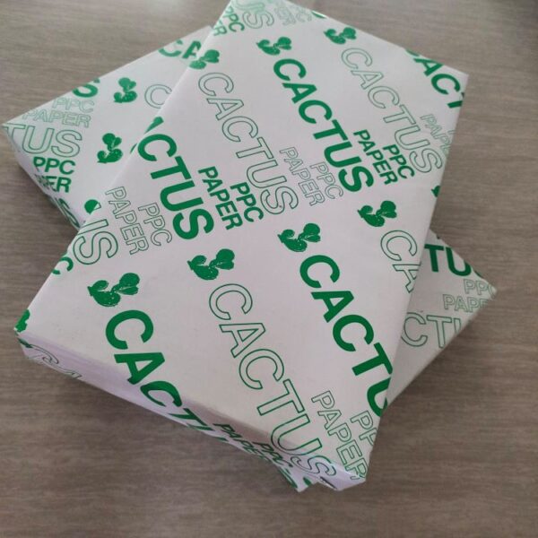 Cactus Bond Paper | 8.5 x 14 inches, 500 sheets per Ream - Image 3