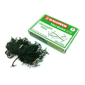 Treasury Tag 10″